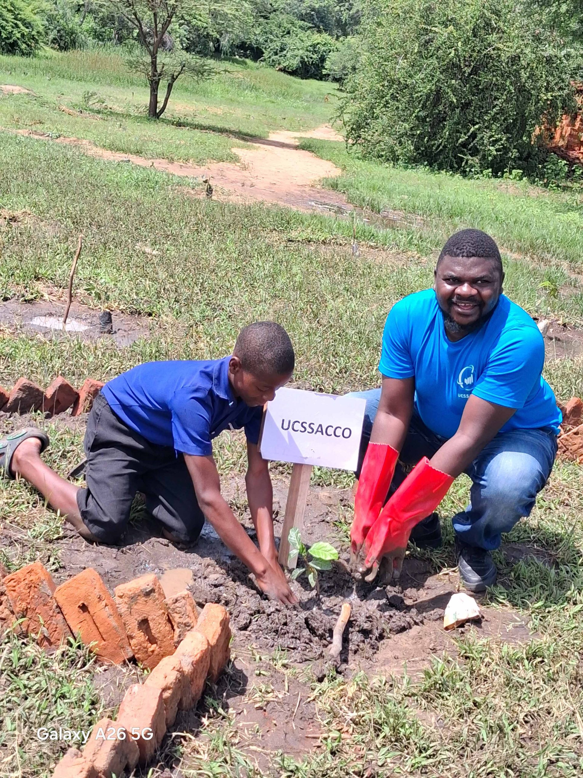 UCSSACCO SOARS IN REAFFORESTATION PARTNERSHIPS