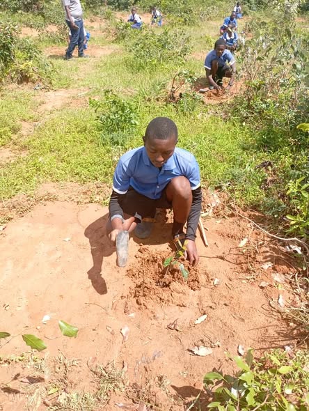 UCS SACCO TAKES PART IN CHITIPA TREE PLANTING EXERCISE